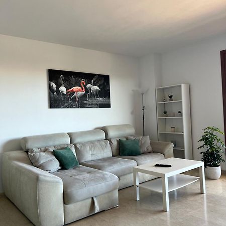 Punta Prima Nice Apartment With Sea Views 또레비에하 외부 사진