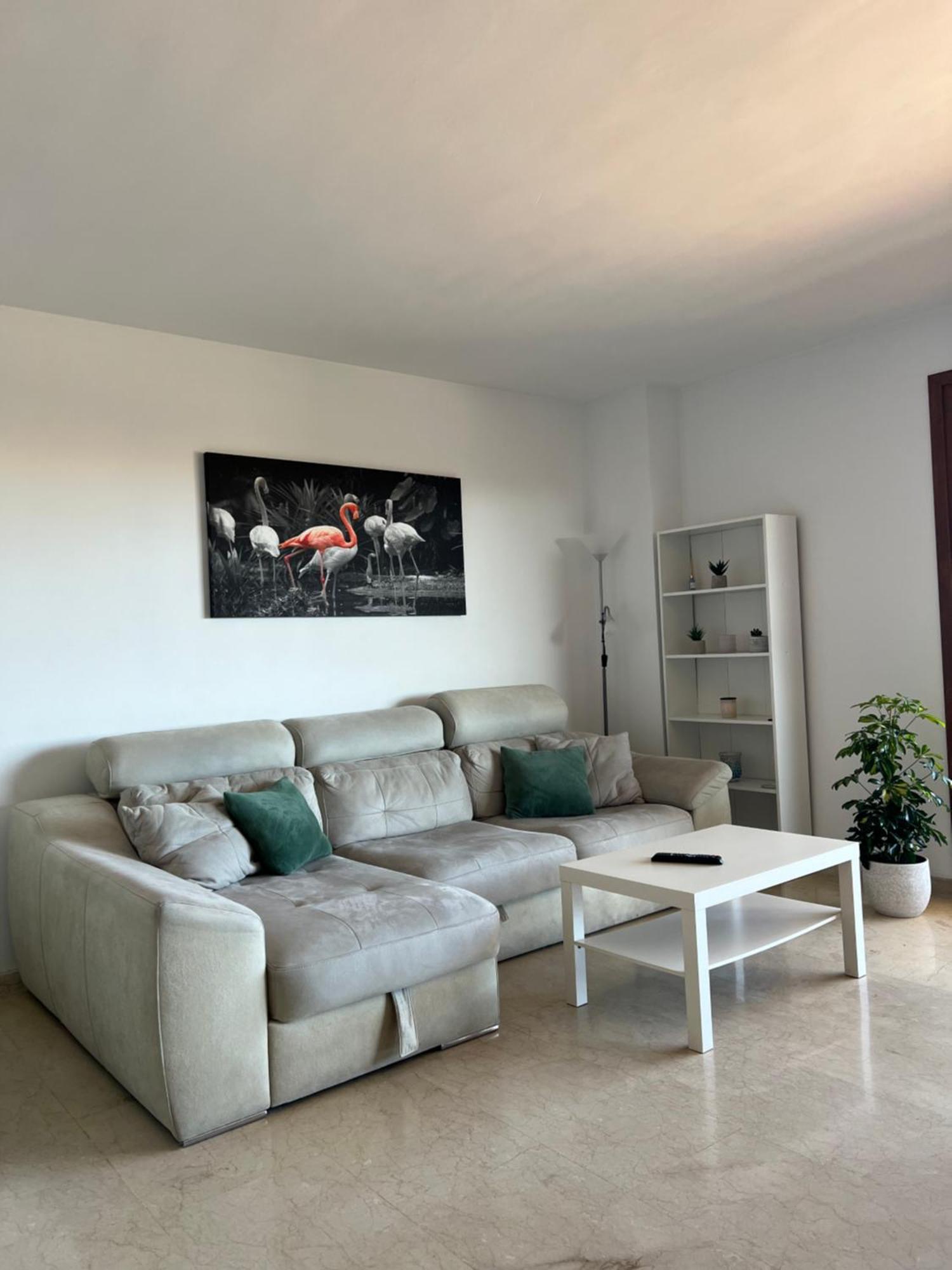 Punta Prima Nice Apartment With Sea Views 또레비에하 외부 사진